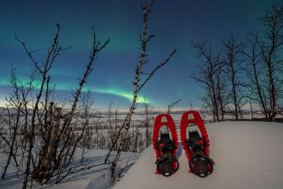 Abisko: Aurora Snowshoeing - Highlights of the Experience