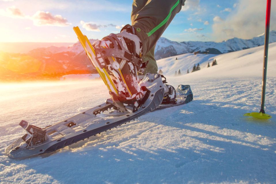 Abisko: Wilderness Snowshoe Hike - Experience Highlights