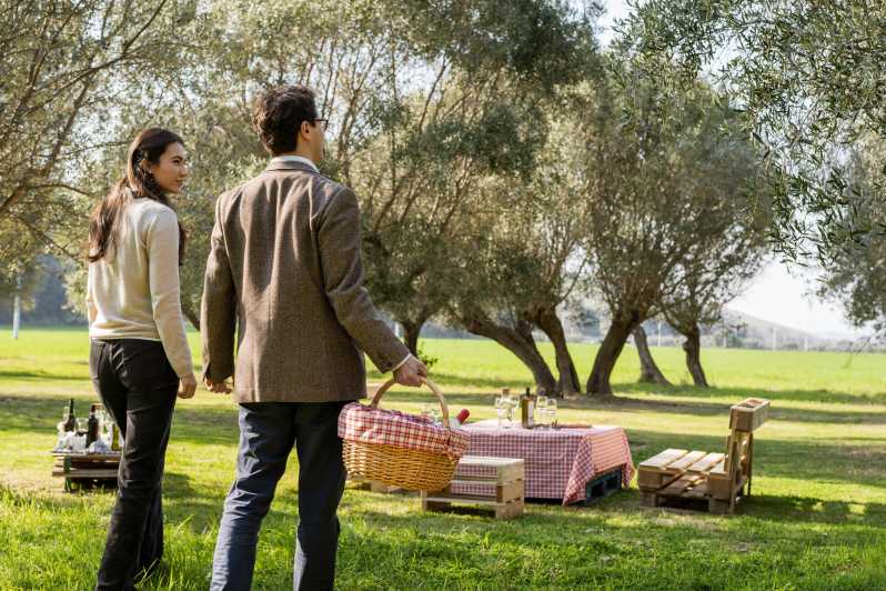 Abruzzo: Country Picnic in an Olive Grove at a Winery - Mazzarosa Winerys Nature Reserve