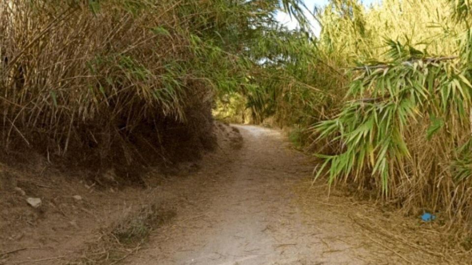 Active Bike Tour: River Turia Natural Park. - Highlights of the Experience