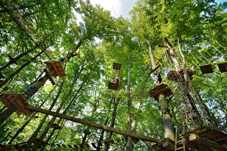 Adventure Park Potsdam: Adventure Climbing in the Trees - Pricing and Booking Options