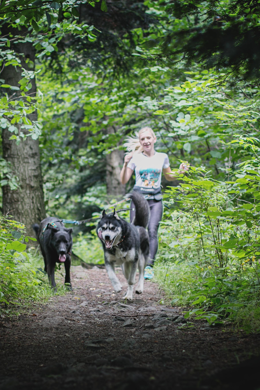 Adventure Tours With Dogs in Beskid Wyspowy - Hike - Experience and Benefits