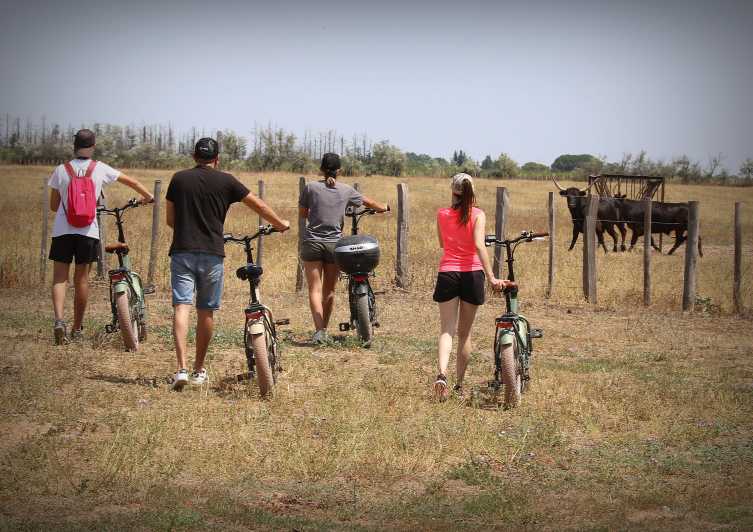 Aigues Mortes: Safari on a Bike - Ebike Tour in Camargue - Experience Highlights