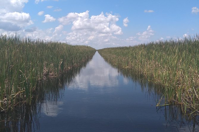 Air Boat Tour of Palm Beach in The Swamp Monster - Private Experience Benefits