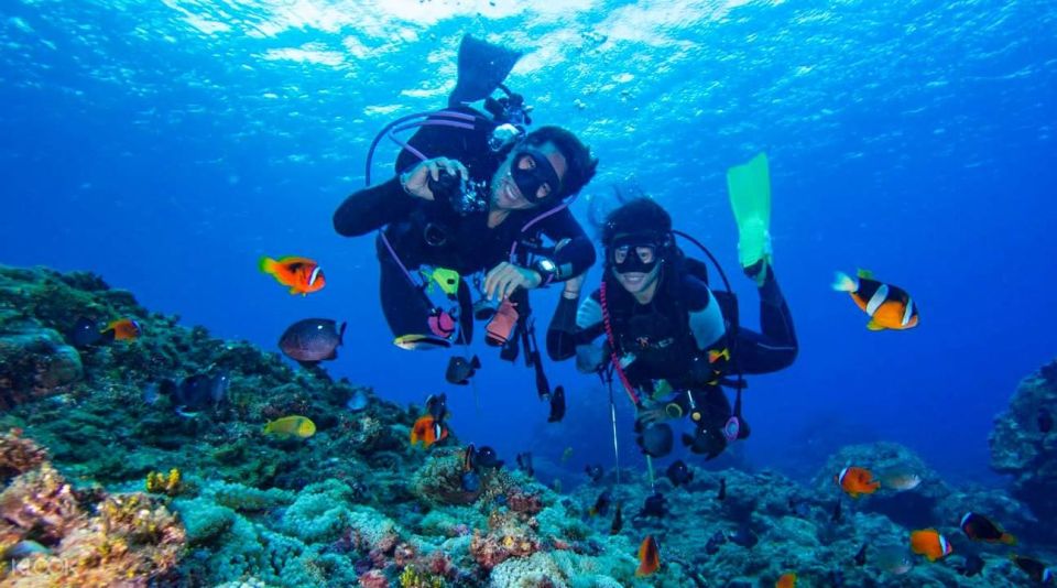 Alanya: Discover Scuba Diving Scuba Tour for Beginners - Pricing Details