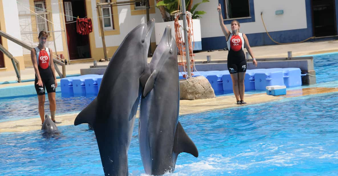 Alanya: Dolphin and Sea Lion Show at Sealanya Dolphin Park - Show Schedule and Duration