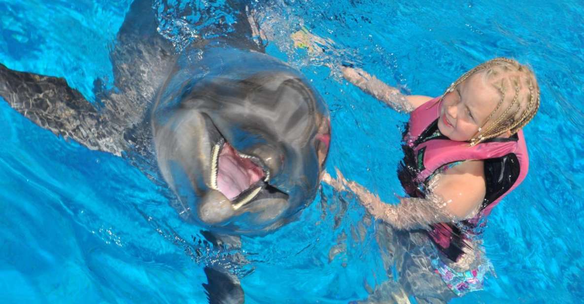 Alanya: Dolphin and Seal Show Ticket With Hotel Transfers - Show Highlights and Attractions