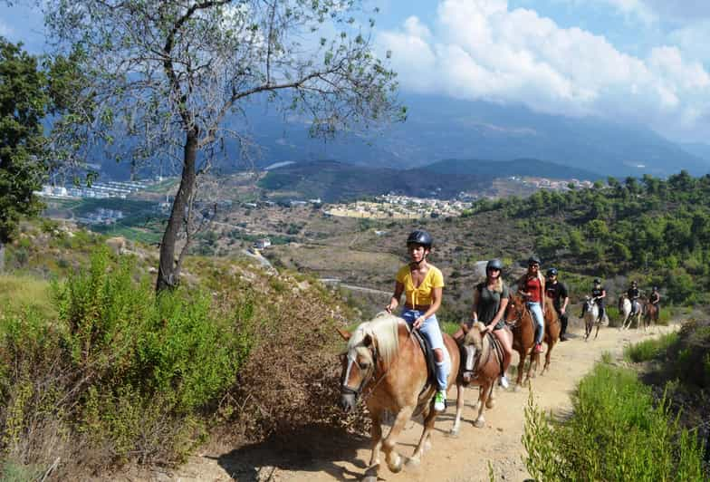 Alanya: Horse Riding Club Transfer Service - Booking Process