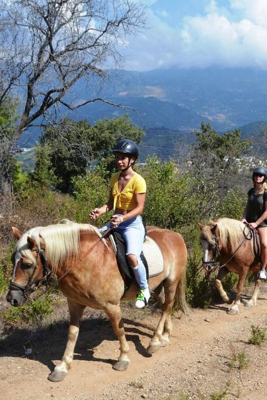 Alanya: Private Horse Safari - Unique Experience Highlights