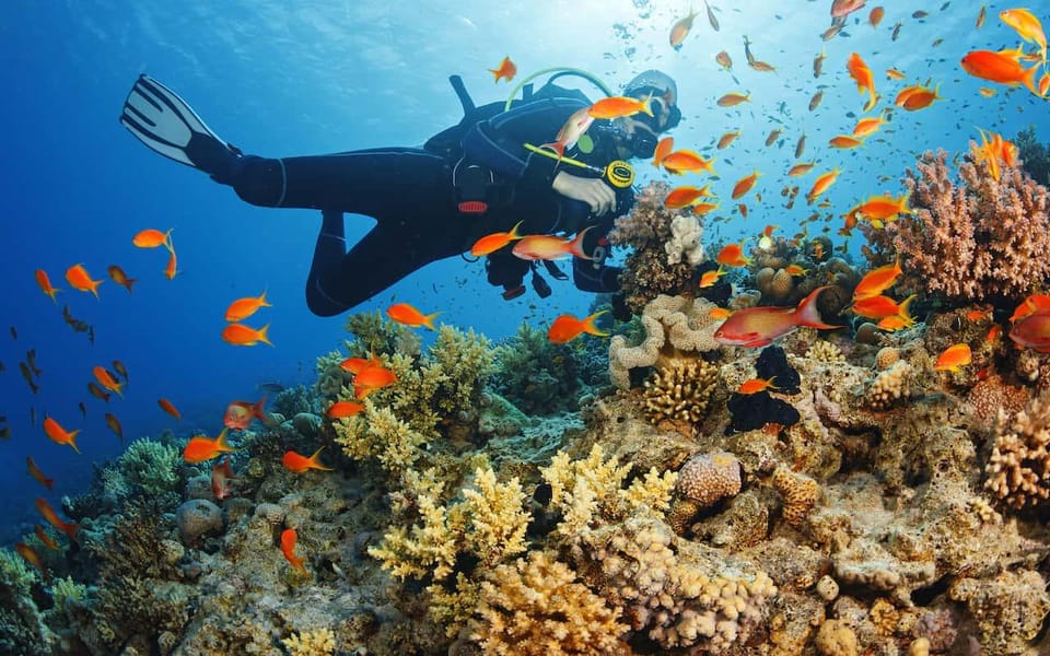 Alanya:Scuba Diving Boat Trip With Lunch and Transfer - Inclusions and Exclusions