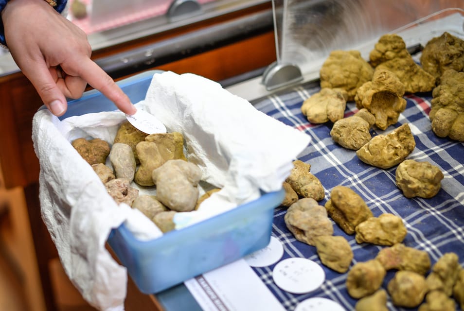 Alba Truffle Fair: Skip-the-Line Entrance and Private Tour - Highlights of the Private Tour