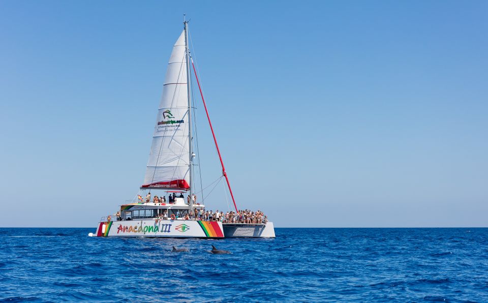 Alcudia: Sunset Catamaran Tour With Dinner and Snorkeling - Experience Highlights