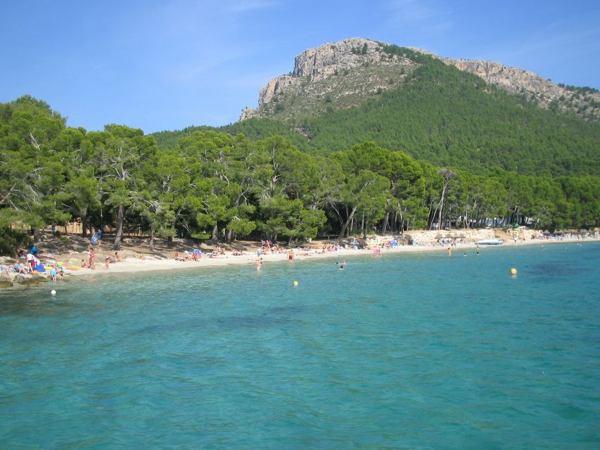 Alcudia: Trip to Formentor Beach - Experience Highlights