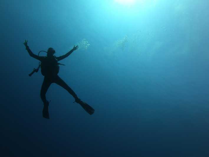 Alghero: Diving Experience - Pricing Details and Booking Steps