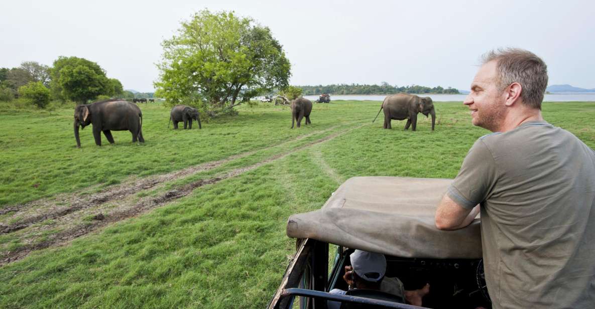 All-Inclusive Minneriya National Park Afternoon Safari - Pricing and Booking