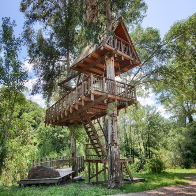 Allai: City Tour and Visit to the Tree House - Pricing and Reservation Details