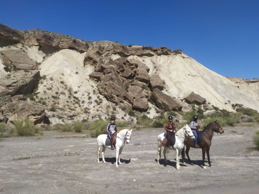 Almeria: Horse Riding Tour Through the Tabernas Desert - Experience Highlights