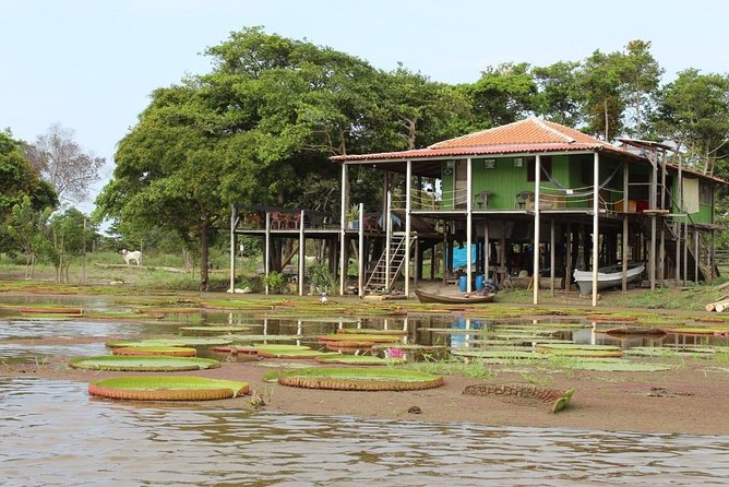 Alter Do Chão Jarí Canal Tour - Highlights of the Tour