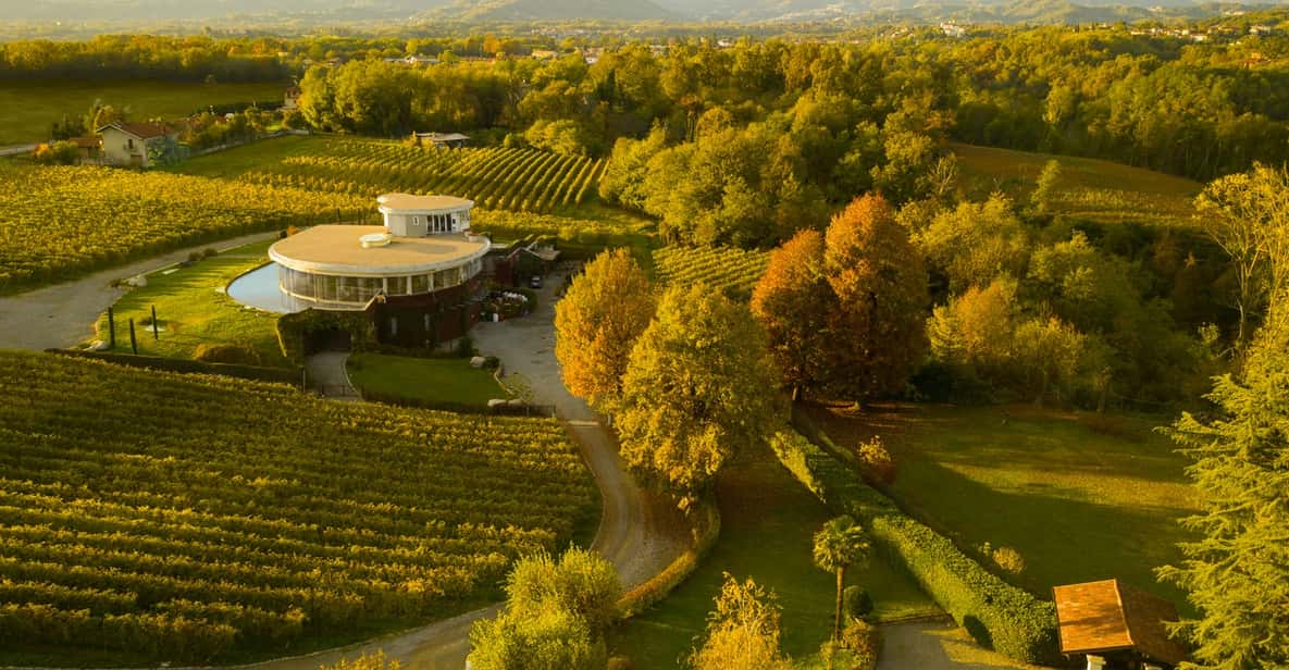 Alto Piemonte: Classic Wine Tasting - Guided Tour of Pietro Cassina Winery