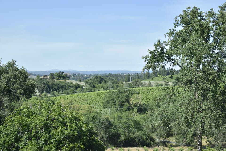 Amador County Wine Tasting Tour Private Tour 1 To 14 Group - Customization Options