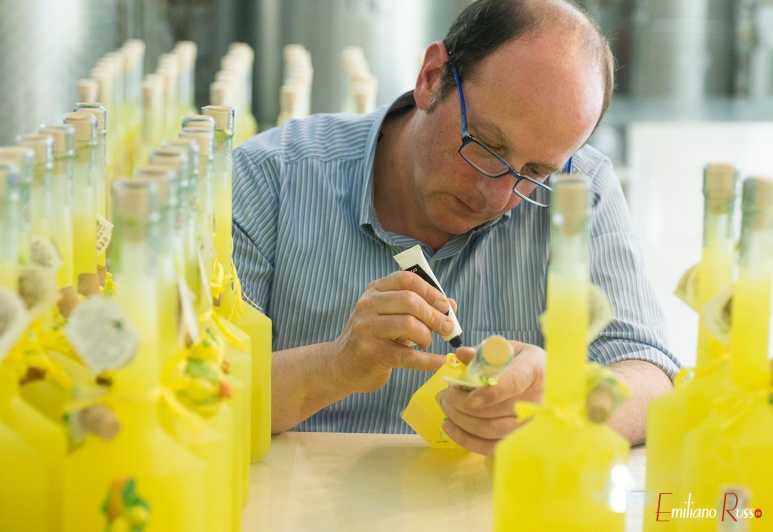 Amalfi: Vertical Lemon Farm Tour, Tastings, and Rural Museum - Highlights of the Experience