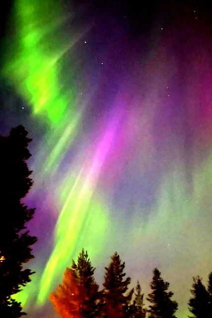 Amazing Aurora With BBQ in the Best Spot in Rovaniemi! - Whats Included in the Tour