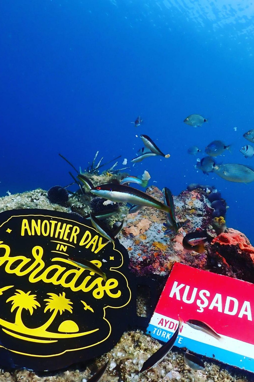 AMAZING KUSADASI SCUBA DIVING - Booking Your Scuba Adventure