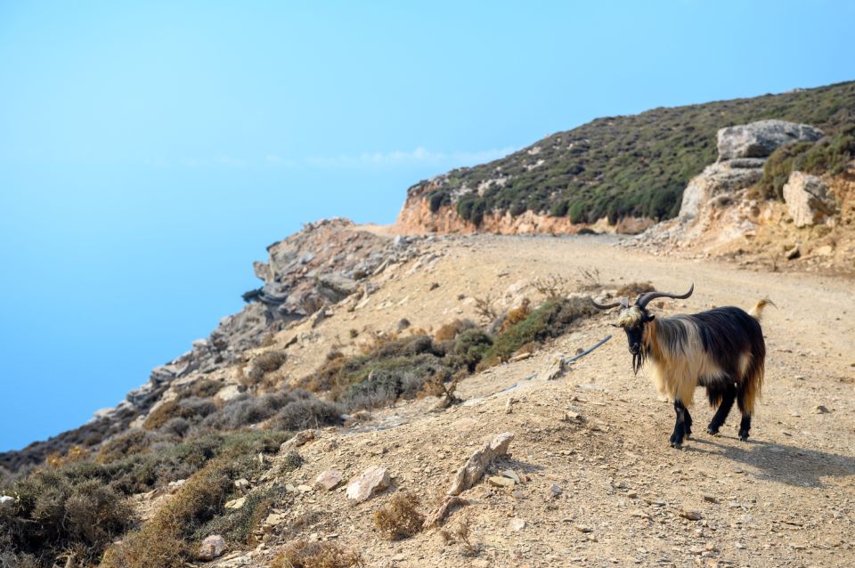 Amorgos: Guided Hike of the Panagia Hozoviotissa Monastery - Hiking Experience and Highlights