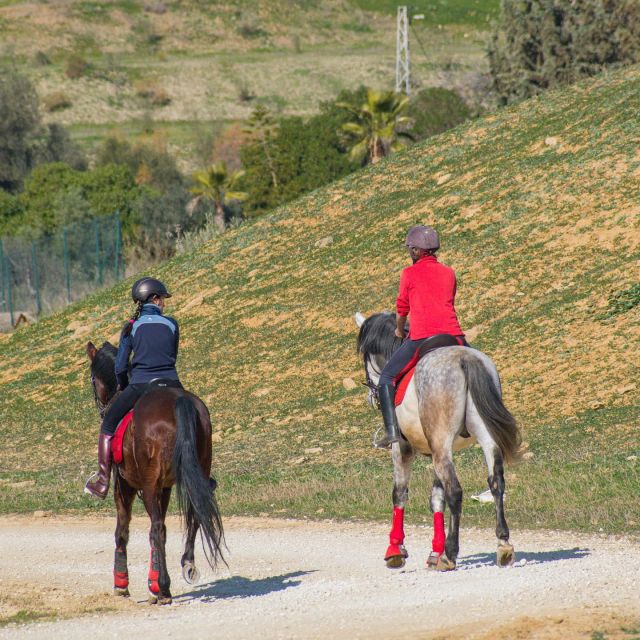 Andalucia: Horse Riding Tour With Picnic - Booking Information