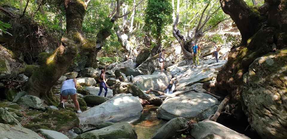 Andros: Achla River Trekking to the Waterfall - Itinerary Highlights