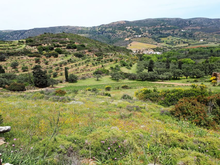 Andros Watermills Guided Hiking Tour - Experience Highlights