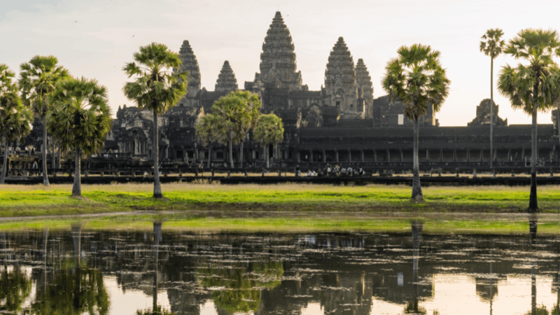 Angkor Highlights Tour: Angkor Wat, Angkor Thom & Ta Prohm - Discovering Ta Prohm