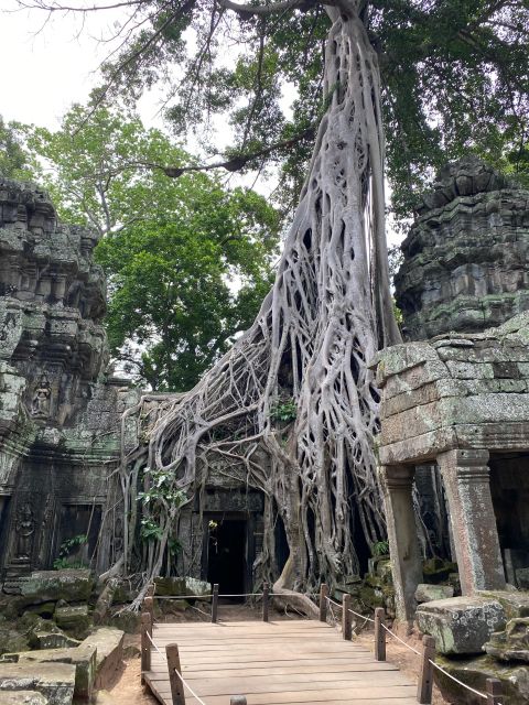 Angkor Wat Sunrise & Other Main Temples 2-Day Private Tour - Day 1 Itinerary