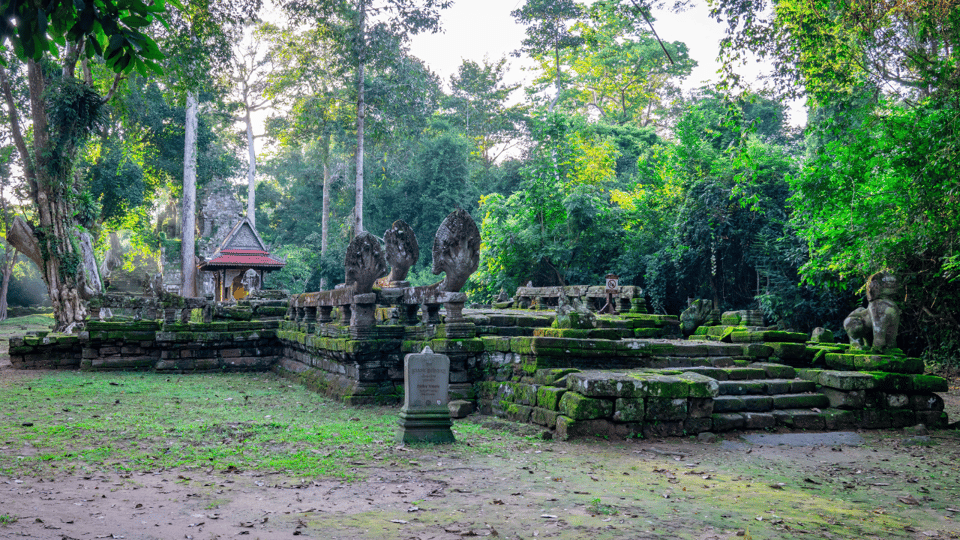 Angkor Wat Sunrise Private Tour - Inclusions and Requirements