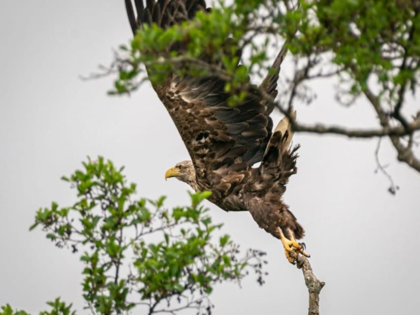 Anklam: Guided Hiking Tour in Peenetal Nature Park - Pricing and Booking