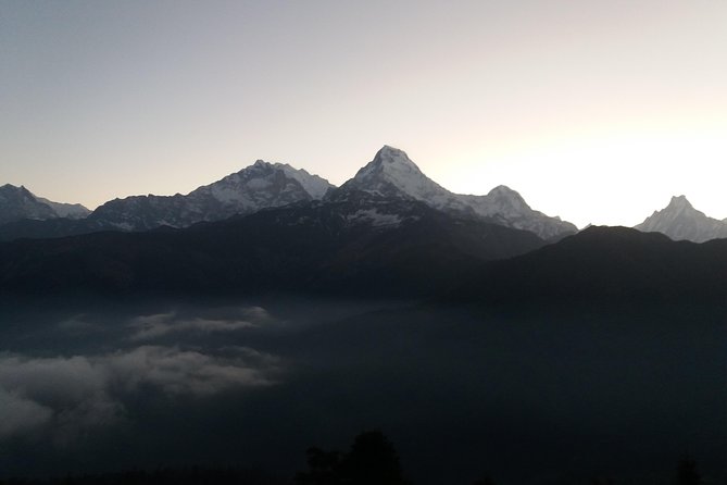 Annapurna: 2 Days Poon Hill Trek From Pokhara - Day 2 Itinerary Highlights