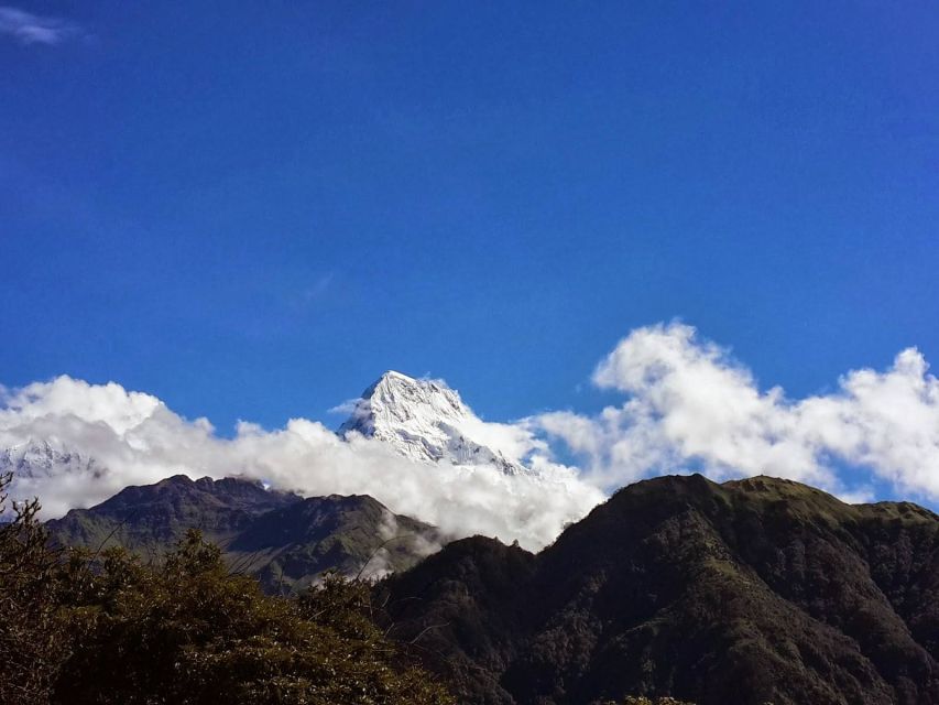 Annapurna: 4 Day Poon Hill Ghandruk Trek - Experience and Highlights