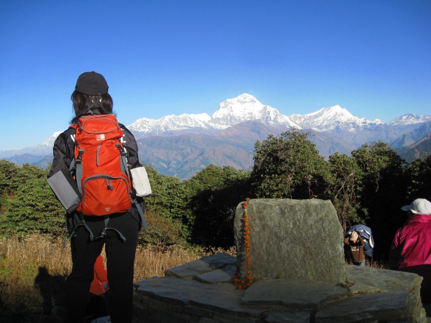 Annapurna - 4 Days Poon Hill Trek From Pokhara. - Trekking Highlights