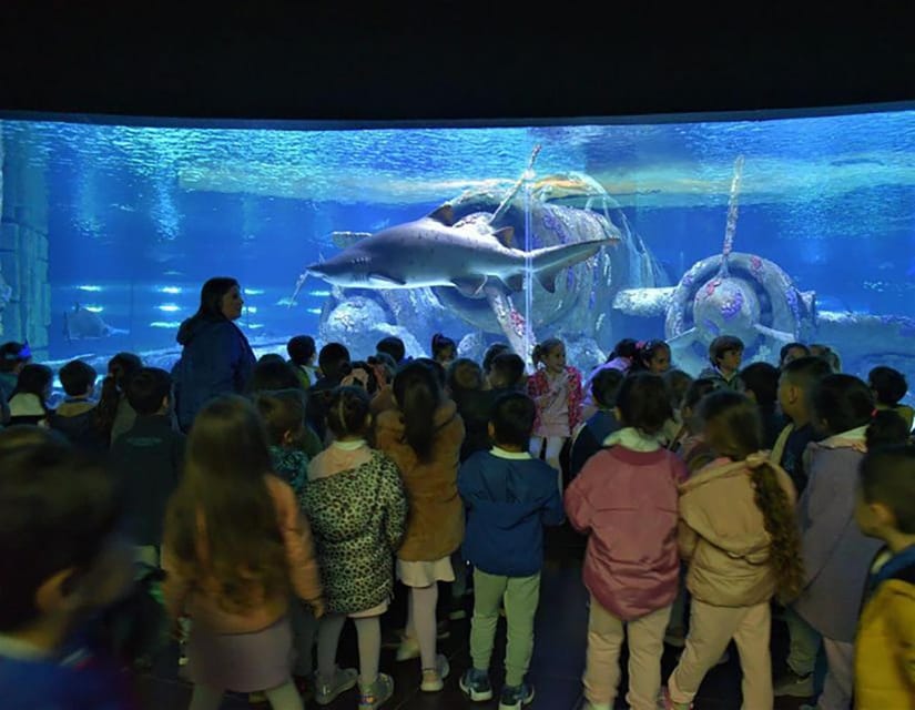 Antalya Aquarium Tour Include Transfer: Alanya,Side,Antalya - Transfer and Pickup Details