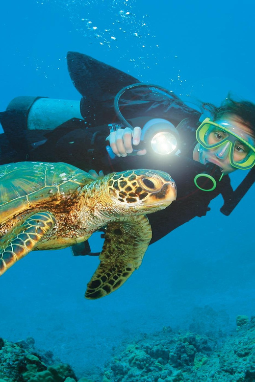 Antalya/ Belek: Scuba Diving Tour With 2 Time Dive & Lunch - Inclusions and Equipment