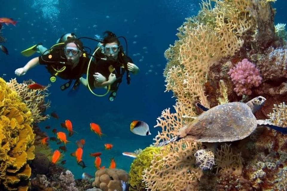 Antalya Exotic & Colourful Diving Tour - Experience Highlights