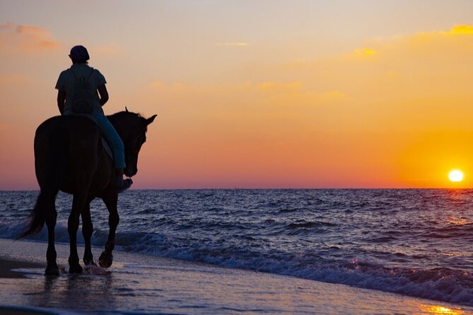 Antalya Horse Riding On Beach And Through The Forests For 2 Hours - Activity Details