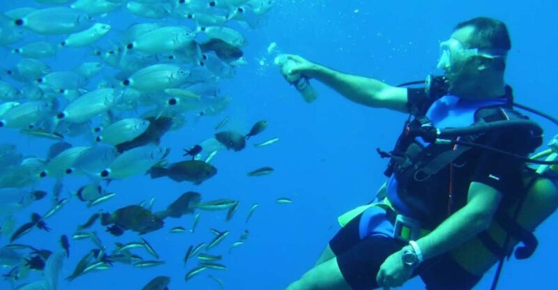 Antalya/ Kemer/ Belek: Scuba Diving With Lunch & Transfer - Pricing and Booking Details