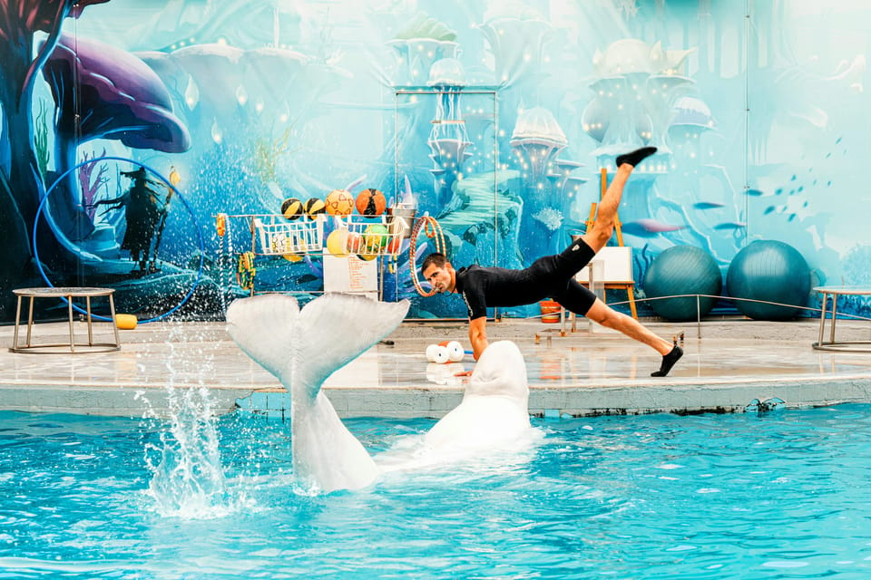 Antalya/Kemer: Waterhill Aqua Park With Dolphin Show & Lunch - Attractions at Waterhill Aqua Park