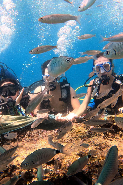 Antalya Scuba Diving by Boat Tours With Lunch - Key Experience Highlights