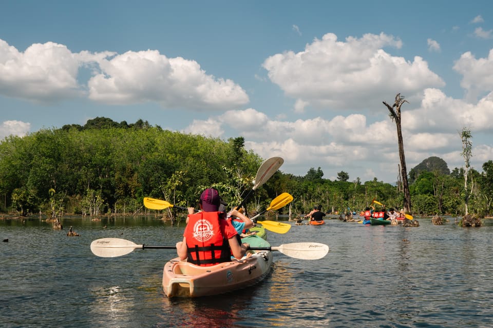 Ao Nang Kayak Adventure: Explore the Stunning Flooded Forest - Adventure Experience