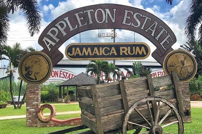 Appleton Estate Rum Private Tour - Visitor Reviews