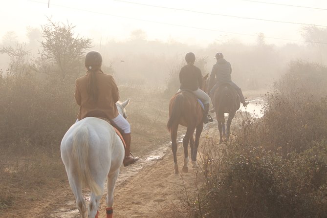 Aravali Trail Experience( Jungle Safari Forest Area)- Horseback Riding - Horse Riding Lessons Offered