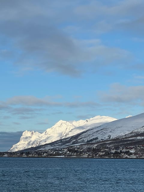 Arctic Nature Tour in Kvaløya With Hot Food and Drinks - Tour Details