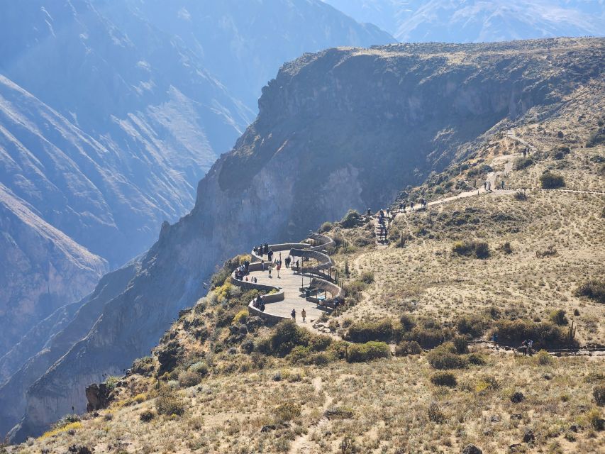 Arequipa: Colca Canyon Tour With Breakfast and Lunch - Itinerary Highlights